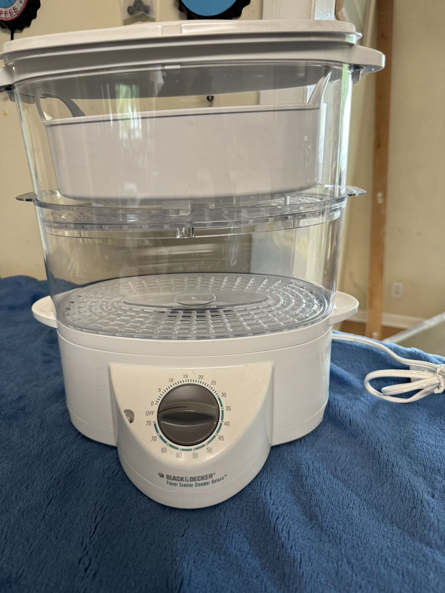 vegetable steamer