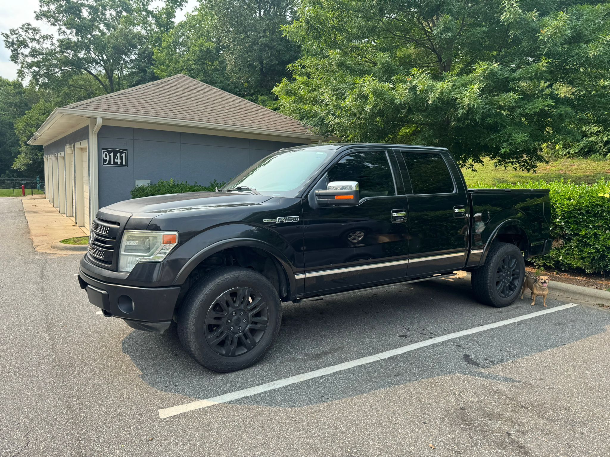 2013 Ford F-150