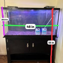 Fish Tank 50 Gallons