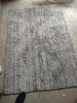 Multicolor shag area rug