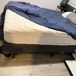 Free- Queen Bed