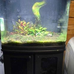 Aquarium  Fish Tank 
