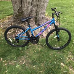 24” Mountain Bike 