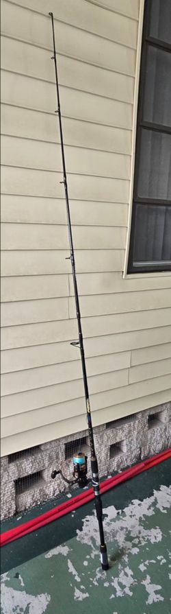Fishing Pole & Reel w/ Braided Line