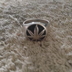 Marijuana Ring