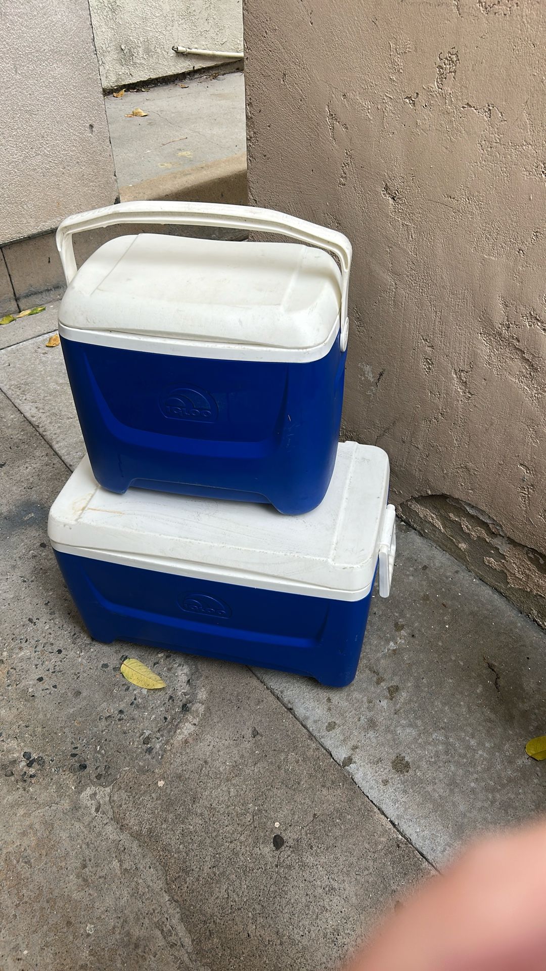 Igloo Cooler With Wheels 