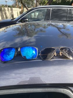 Maui Jim And Ray Ban Aviator 