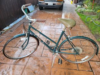 Vintage Free Spirit Greenbriar Bike