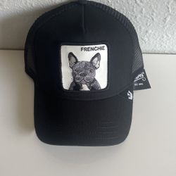 Frenchie Goorin Bros ajustable hat 🧢