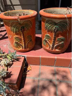 Palm pots