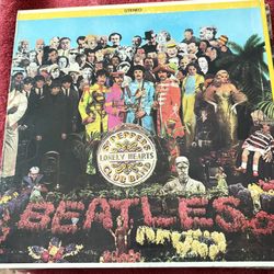 Beetles 