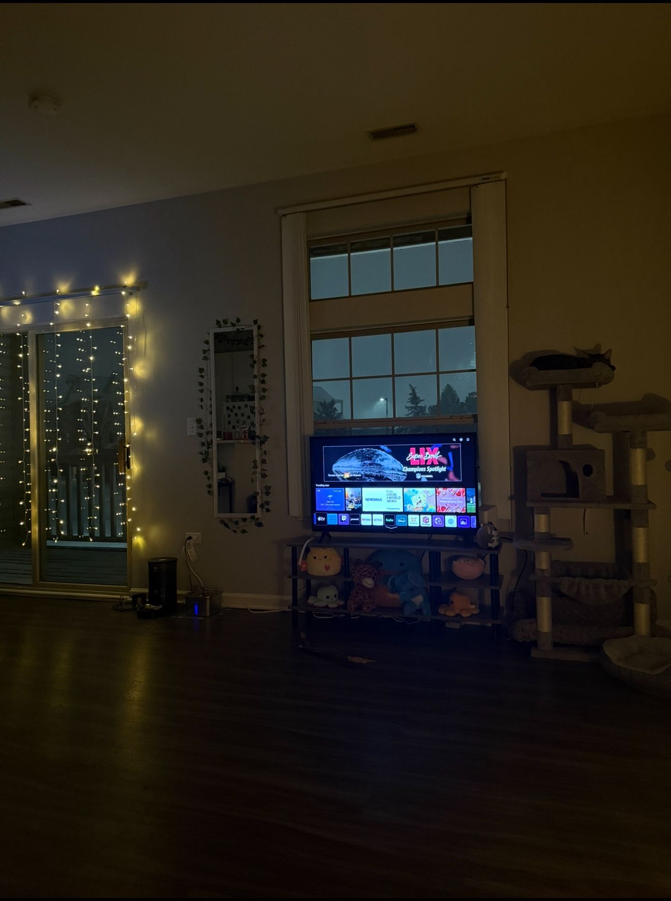 LG 44in TV
