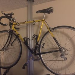 De Bernardi Road Bike