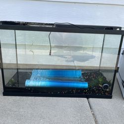 Free fish Tank 