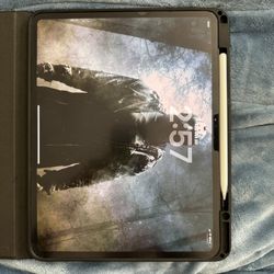 13” iPad Pro M4 Chip 256gb Unlocked