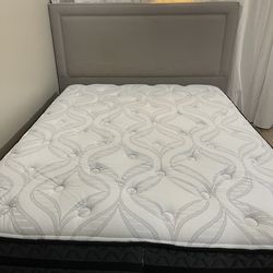 Queen Size Masy’s Bed Frame. Mattress Included.