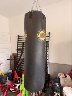Boxing Bag, Gloves, & Chain