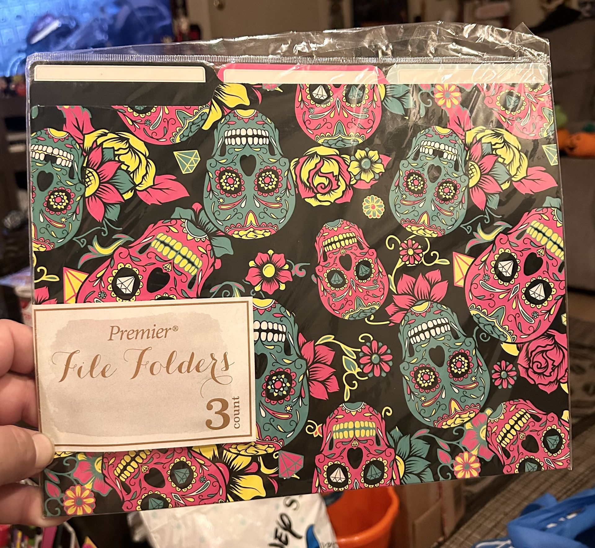DAY OF THE DEAD FILE FOLDERS