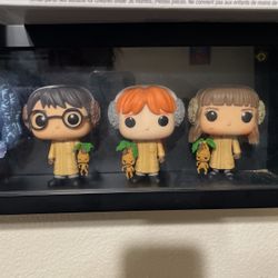 Harry Potter Funko Pops 