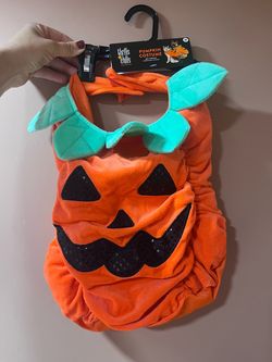 Pumpkin costume for cat or dog
