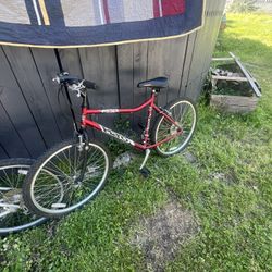 Couple Of Bikes 