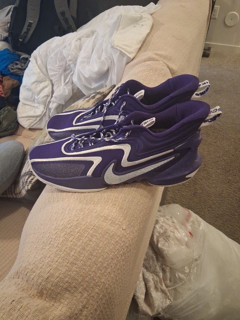 Purple Shoes