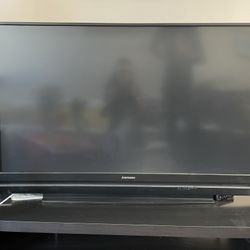 Projector TV (60-inch Mitsubishi)