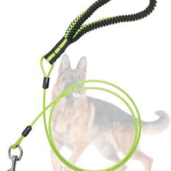 Dog Leash