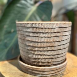 7” Terracotta Textured Flower Pot