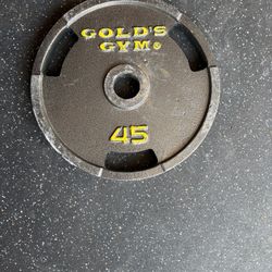 2 Gold Gym Plates 45