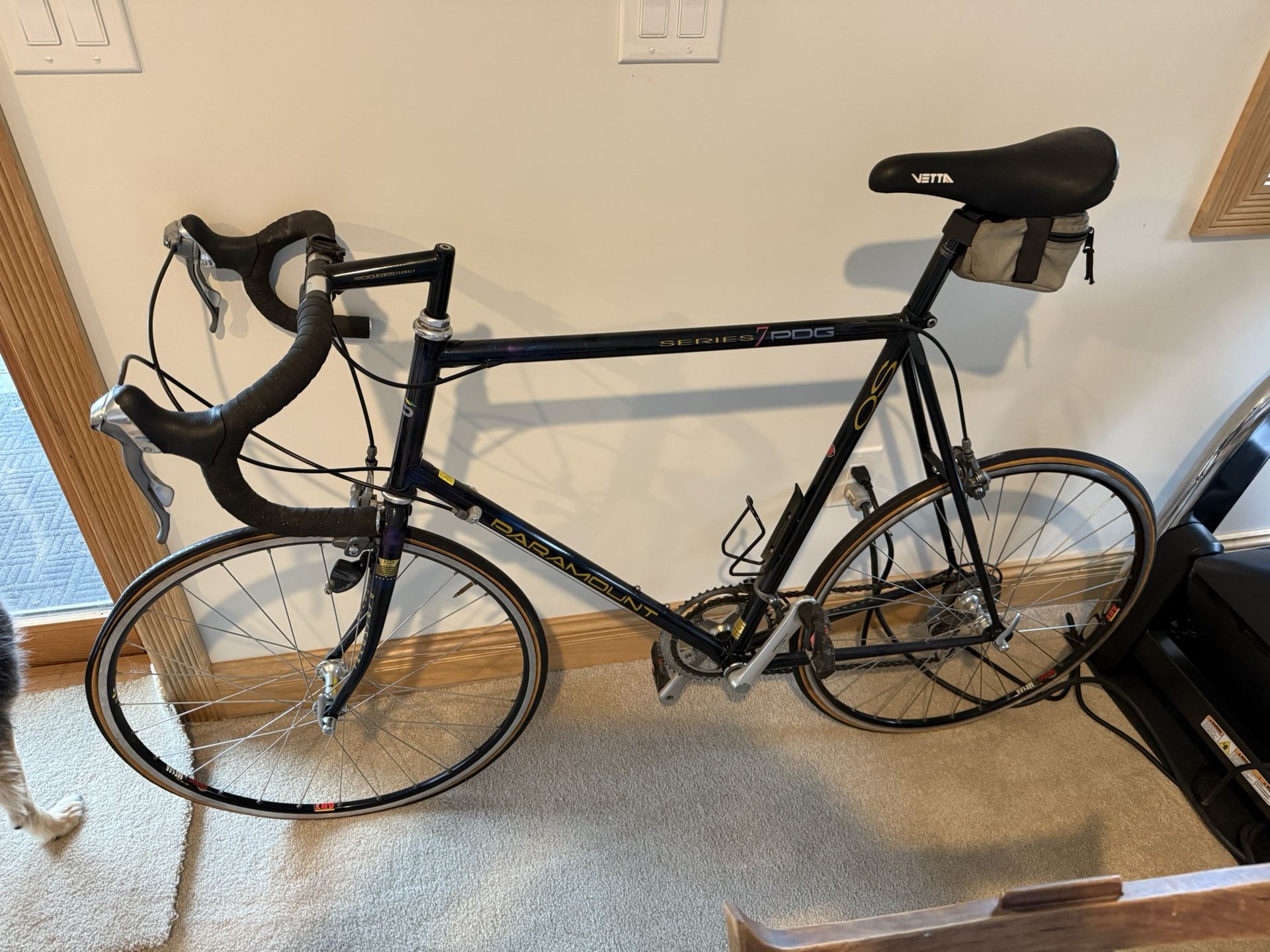 Schwinn Paramount Series 7 PGD