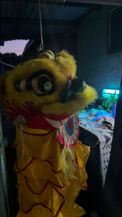 lion costume vintage