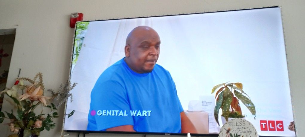 TV