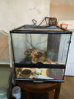 Reptilian Habitat With Heating Pad and Acc.