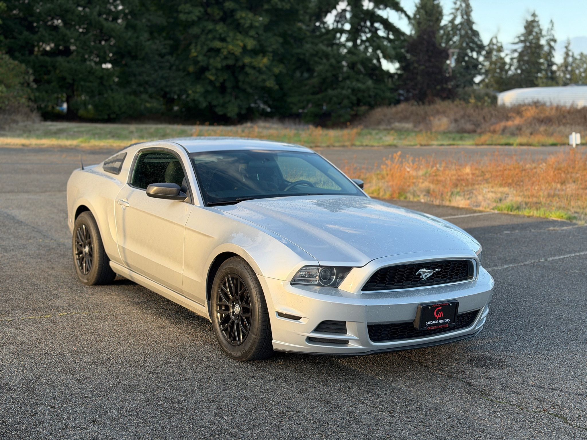 2014 Ford Mustang
