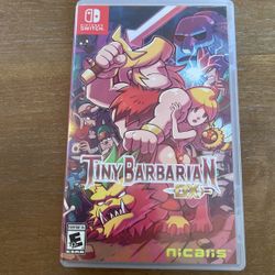 Nintendo Switch Tiny Barbarian Dx 
