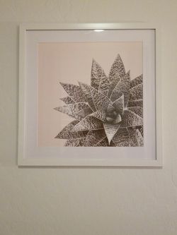 Two (2) White  Framed Desert Prints 