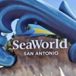 Seaworld One Day Pass Expire January 6