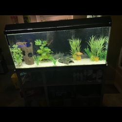 Full Setups And Just Tanks 