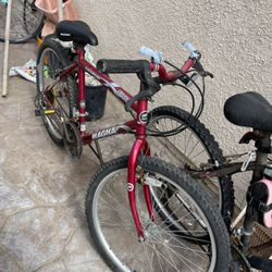Bicycle Adult Magna In Good Condition