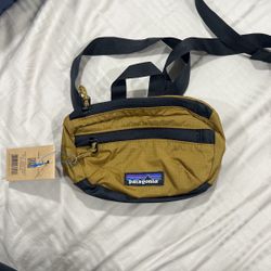 Patagonia Panny Pack 