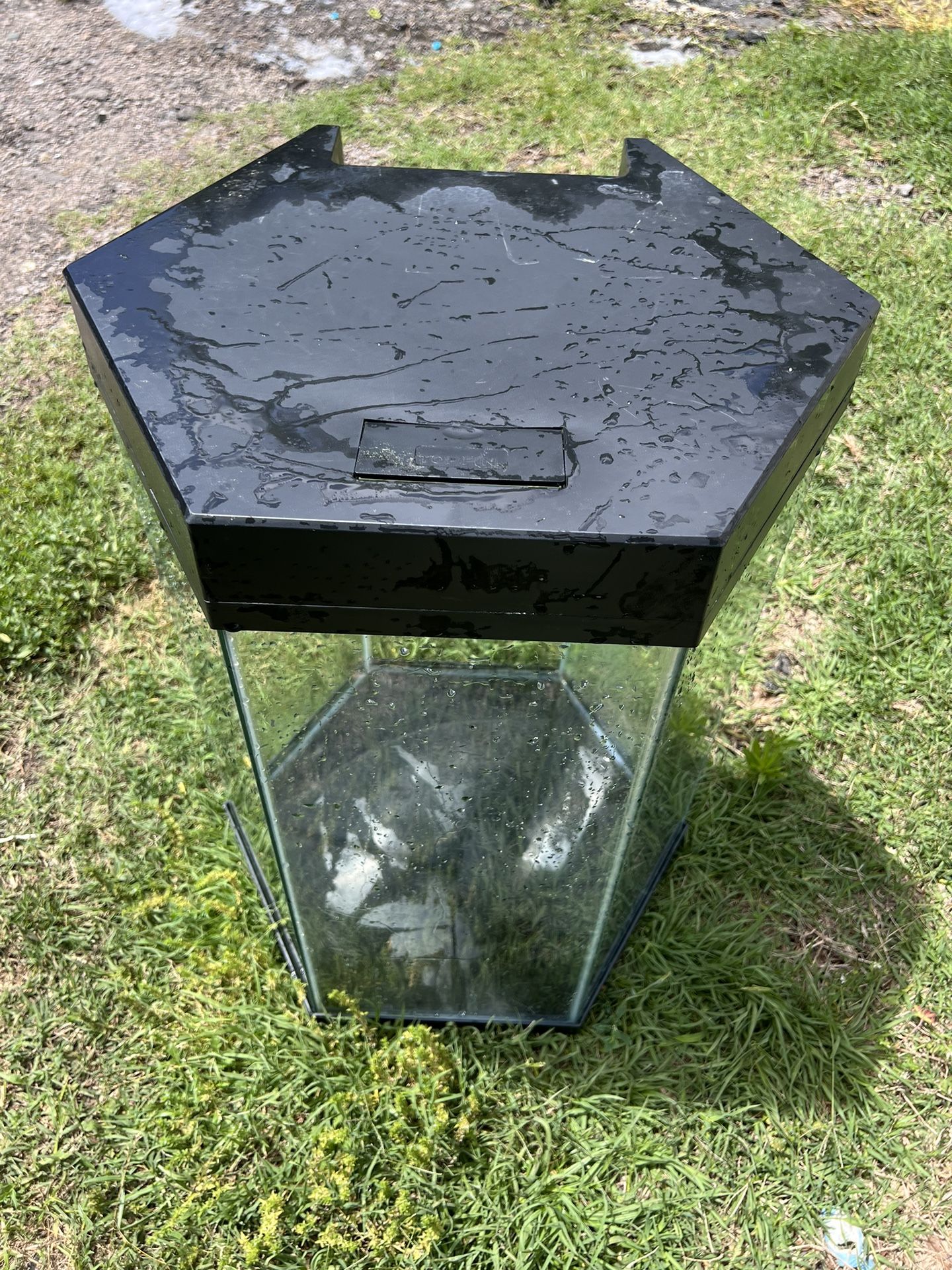 Top Fin Fish Tank