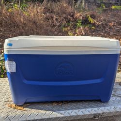Igloo Island Breeze 48-Quart Cooler