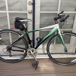 2010 Giant Dash 2 Road Bike XS
