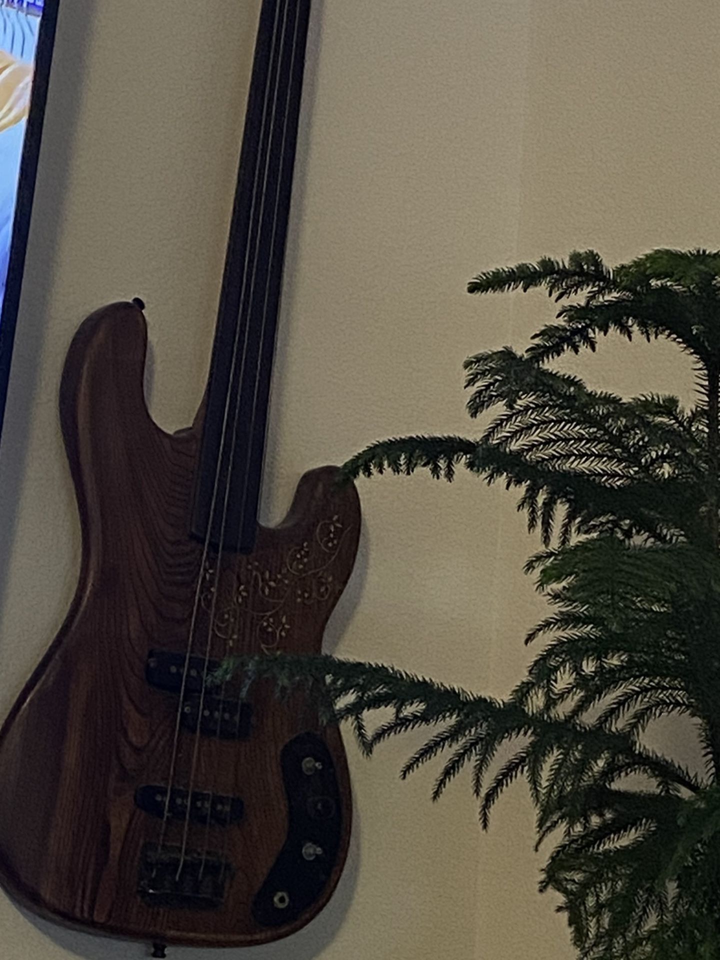Over 50 Years Old Bass.