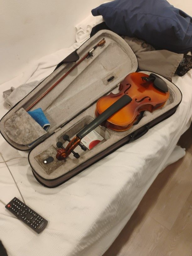 Violin