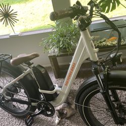 ****Stolen Rad Bike*****