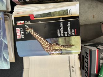 Wild Life Collection