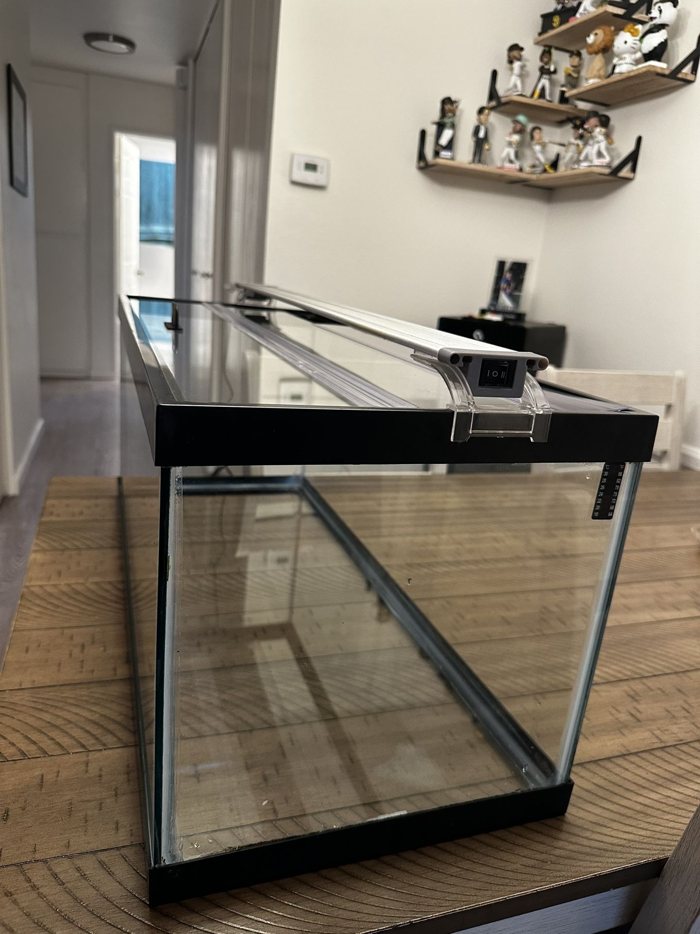 20 Gallon Fish Tank