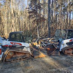 Land Clearing/ Tree